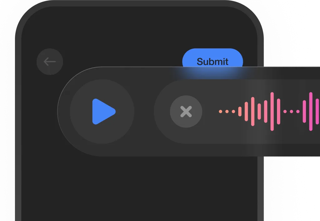 Voice or type your complaint